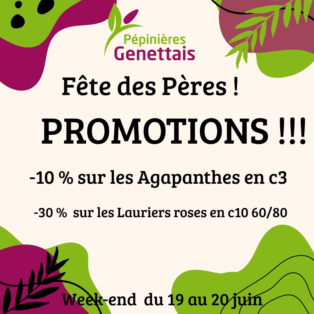 Suivez-nous sur Instagram